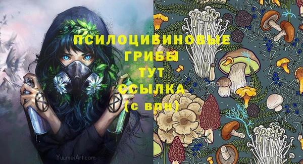 MESCALINE Няндома
