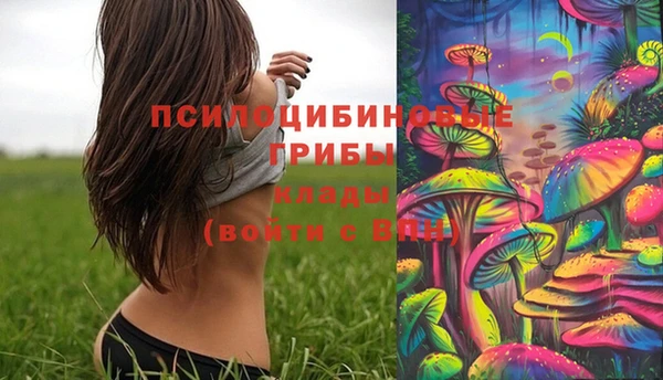 MESCALINE Няндома