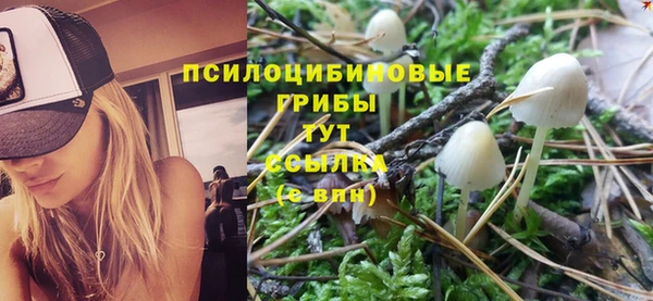 MESCALINE Няндома